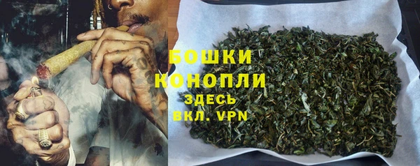 дживик Аша