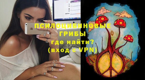 PSILOCYBIN Наволоки