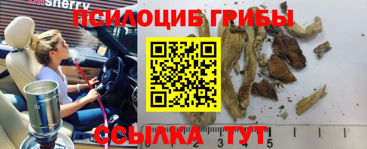 Псилоцибиновые грибы MAGIC MUSHROOMS  Вход с VPN  Лесозаводск 