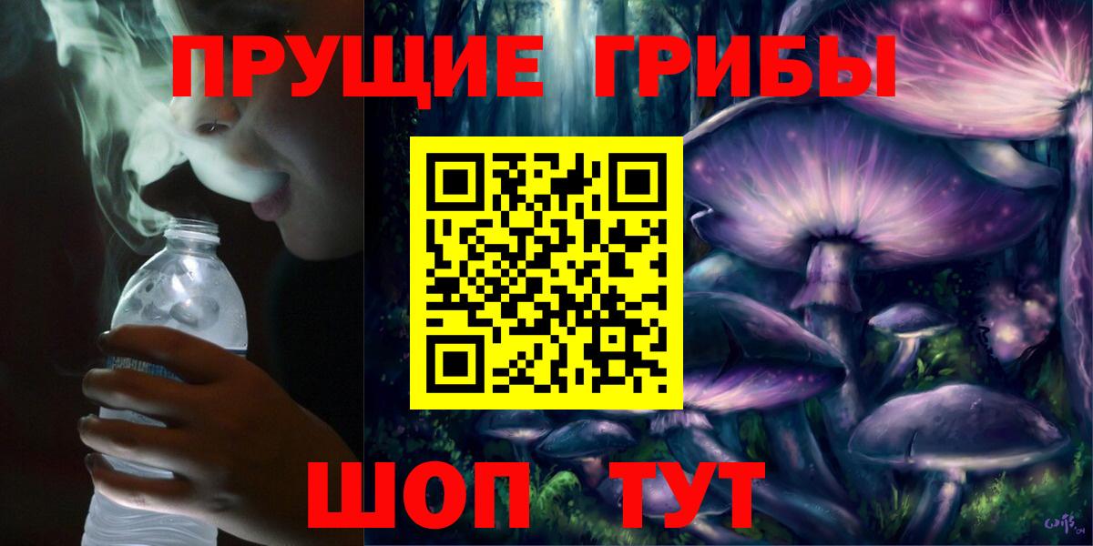 Псилоцибиновые грибы Psilocybine cubensis Лесозаводск