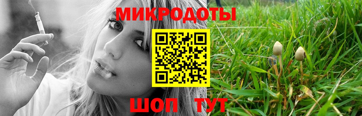 Галлюциногенные грибы мухоморы Лесозаводск