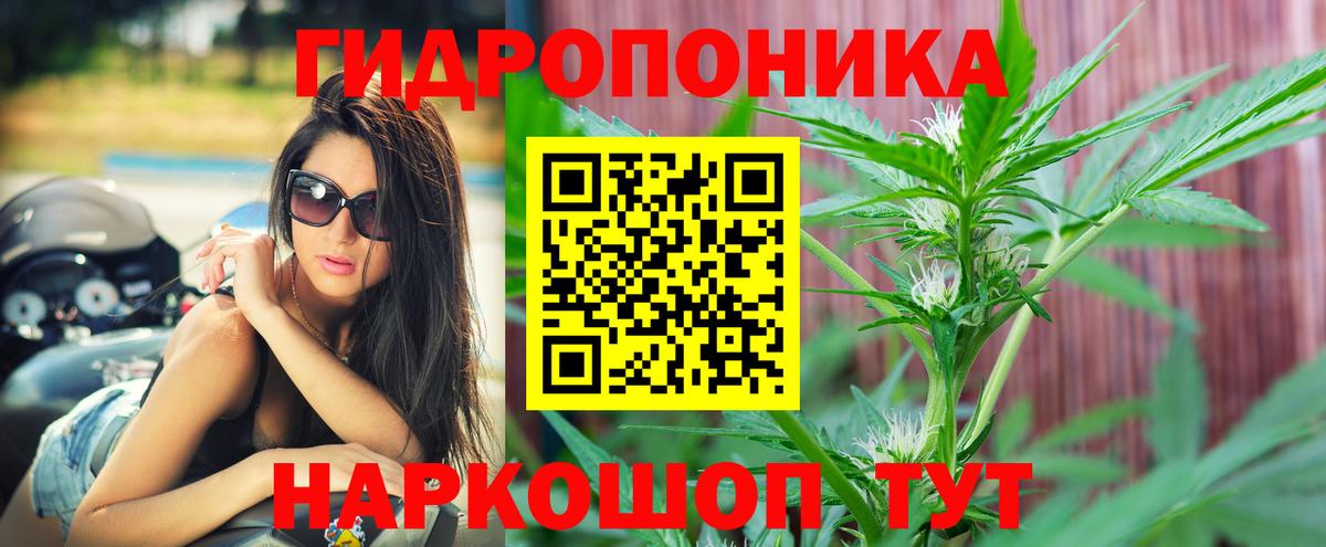 Бошки марихуана марихуана  МАРИХУАНА конопля  Лесозаводск  МАРИХУАНА THC 21% 